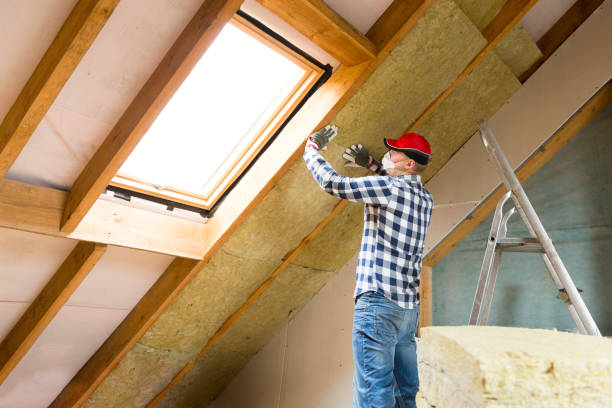 Best Eco-Friendly or Green Insulation Solutions  in Indian Rocks Beach, FL